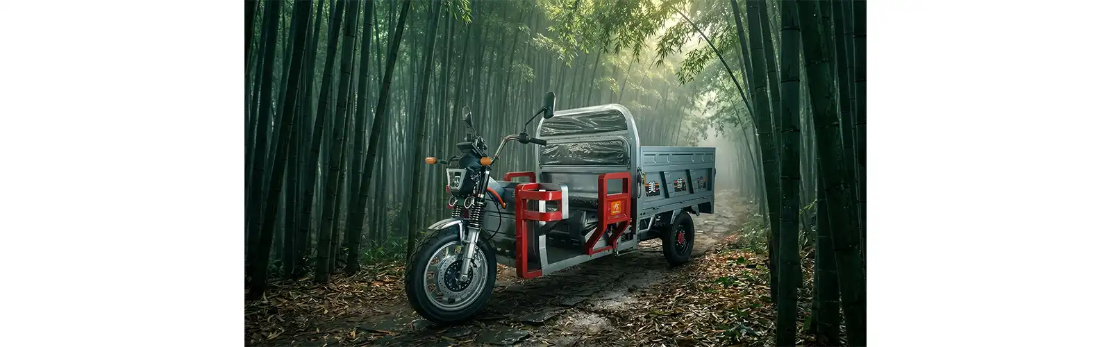 E-Tricycle for Cargo with EEC Certification