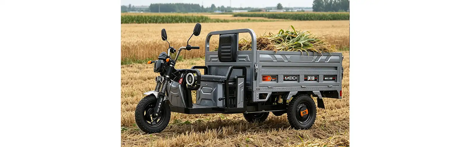 Heavy Load Electric Cargo Tricycle with EEC