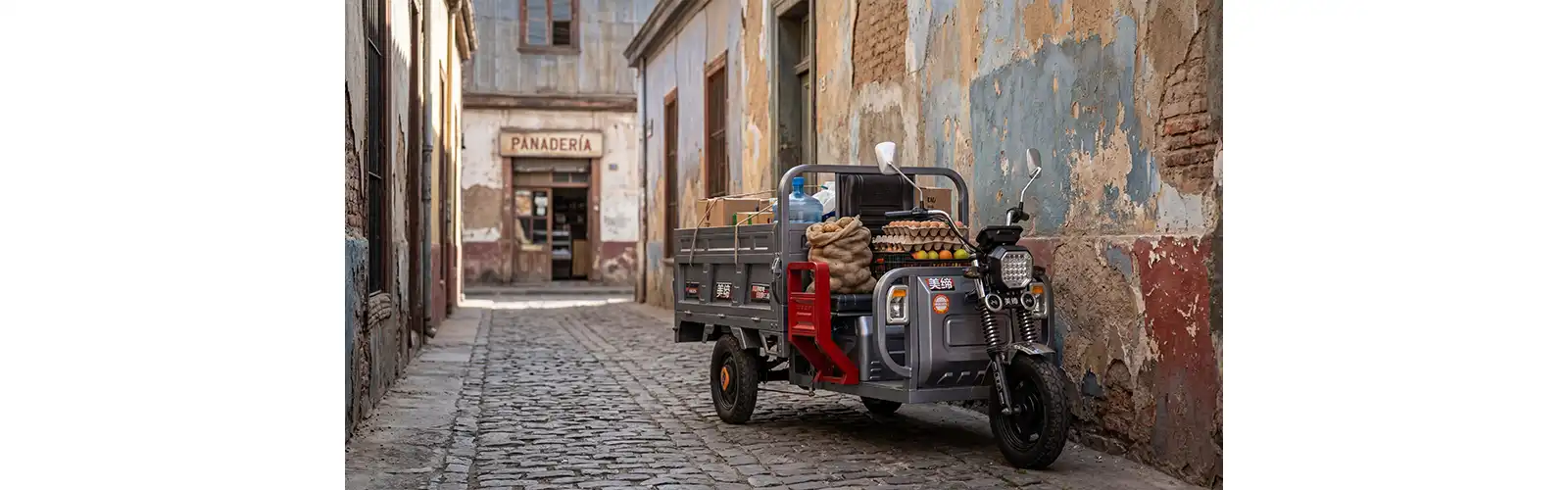 Cargo Electric Tricycle for Adults