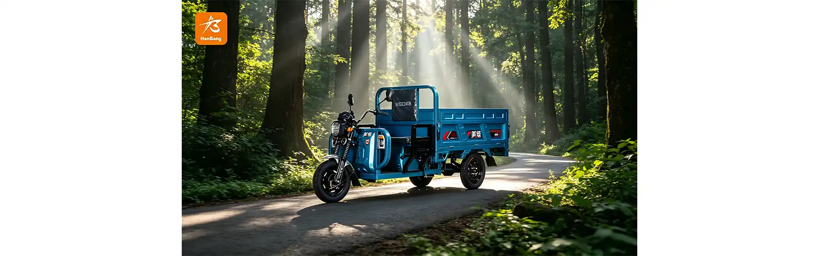 E-Tricycle for Cargo 3 Wheeler
