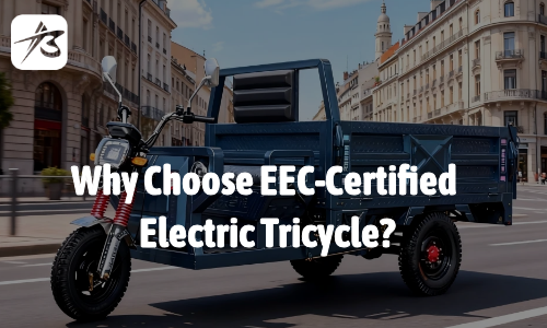 Why Choose EEC-Certified Electric Tricycle?