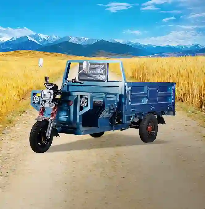 Cargo Electric Tricycles