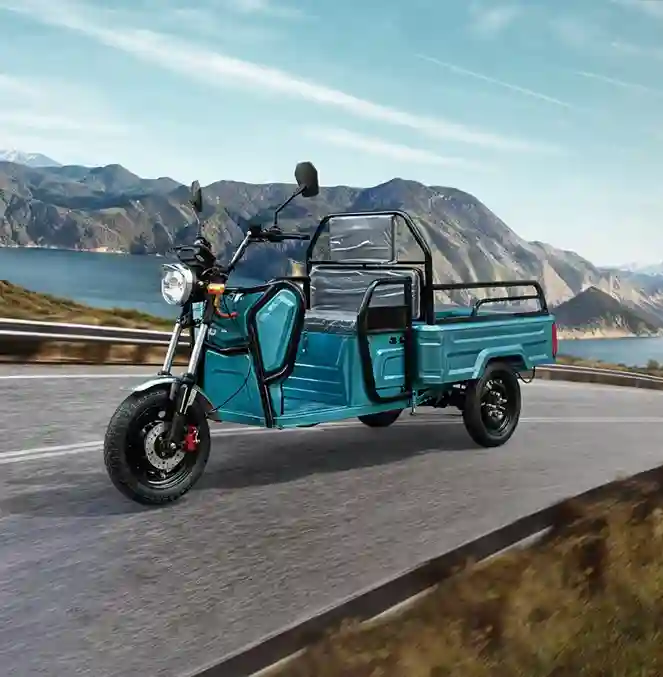 Leisure Electric Tricycles