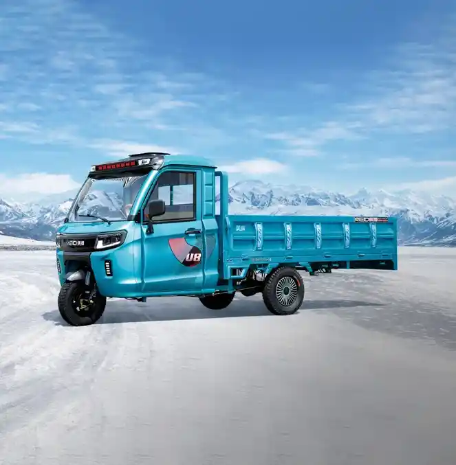 Express Delivery Electric Tricycles