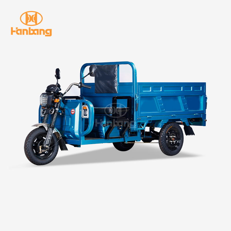 Electric Cargo Trike with Steel Frame