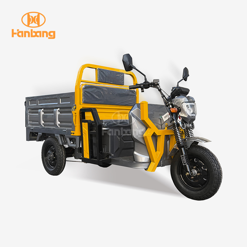 EEC Electric 3 Wheeler Cargo Tricycle