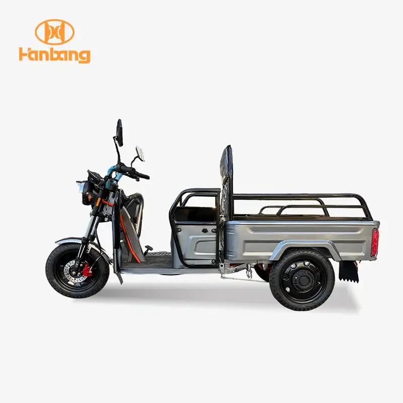 EEC Electric Cargo Tricycle for Leisure