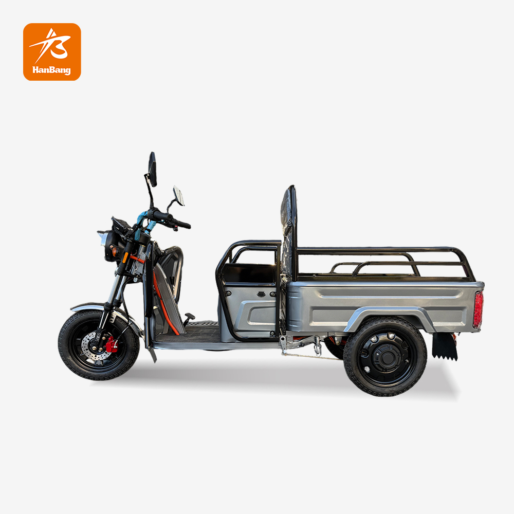 Leisure cargo tricycle electric with EEC certification